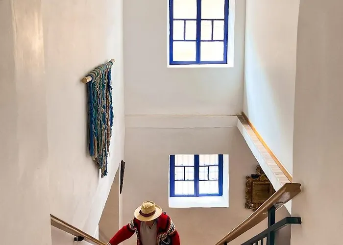 Flying Dog Hostel Cusco
