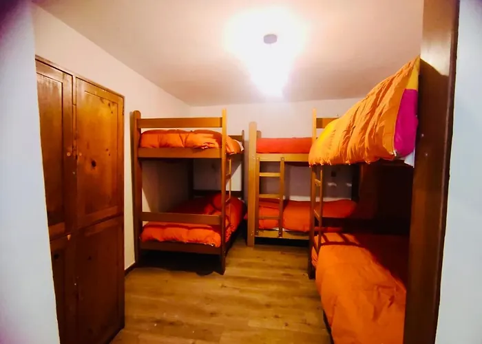 Flying Dog Hostel Cusco